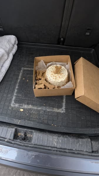 Nine years of driving like the cake could hear me.
