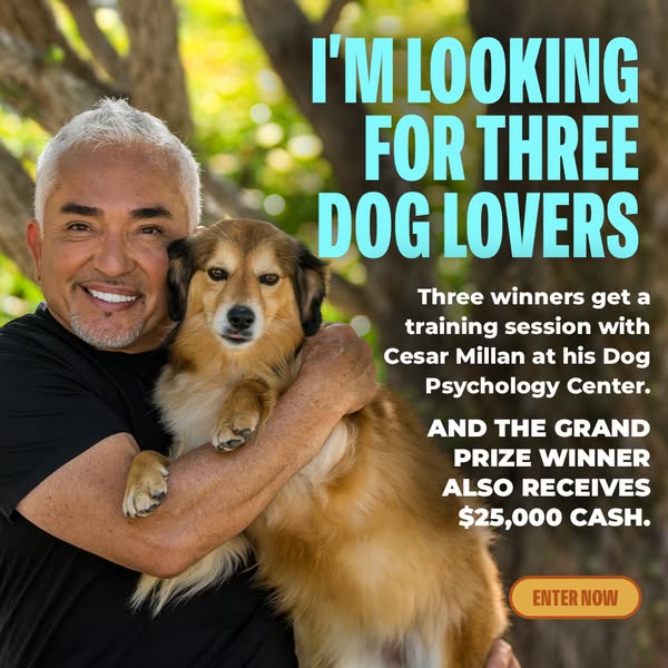 Win $25,000 and a Private Training Session with Me