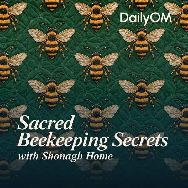 The Ancient Secrets Hidden Inside the Hive