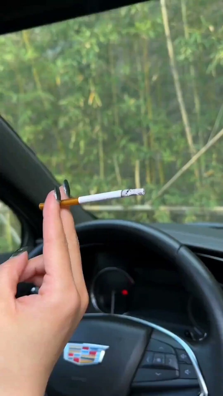 2026 Sale-Rotating Car Ashtray with Ceramic Inner Liner