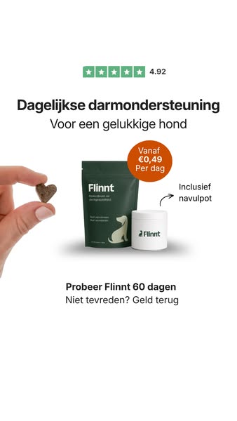 Profiteer nu van Flinnt vanaf €0,49 per dag