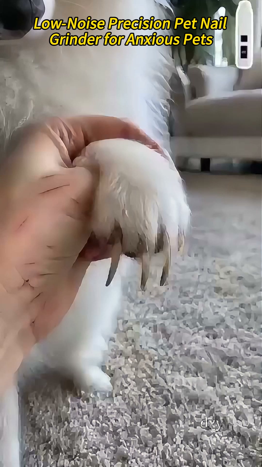 Electric Pet Nail Grinder With LED Power Indicator