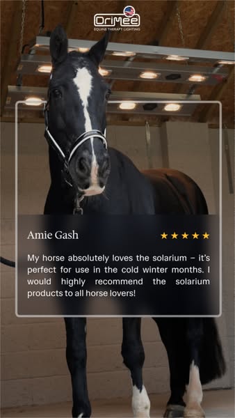 Discover your Drimee Solariums