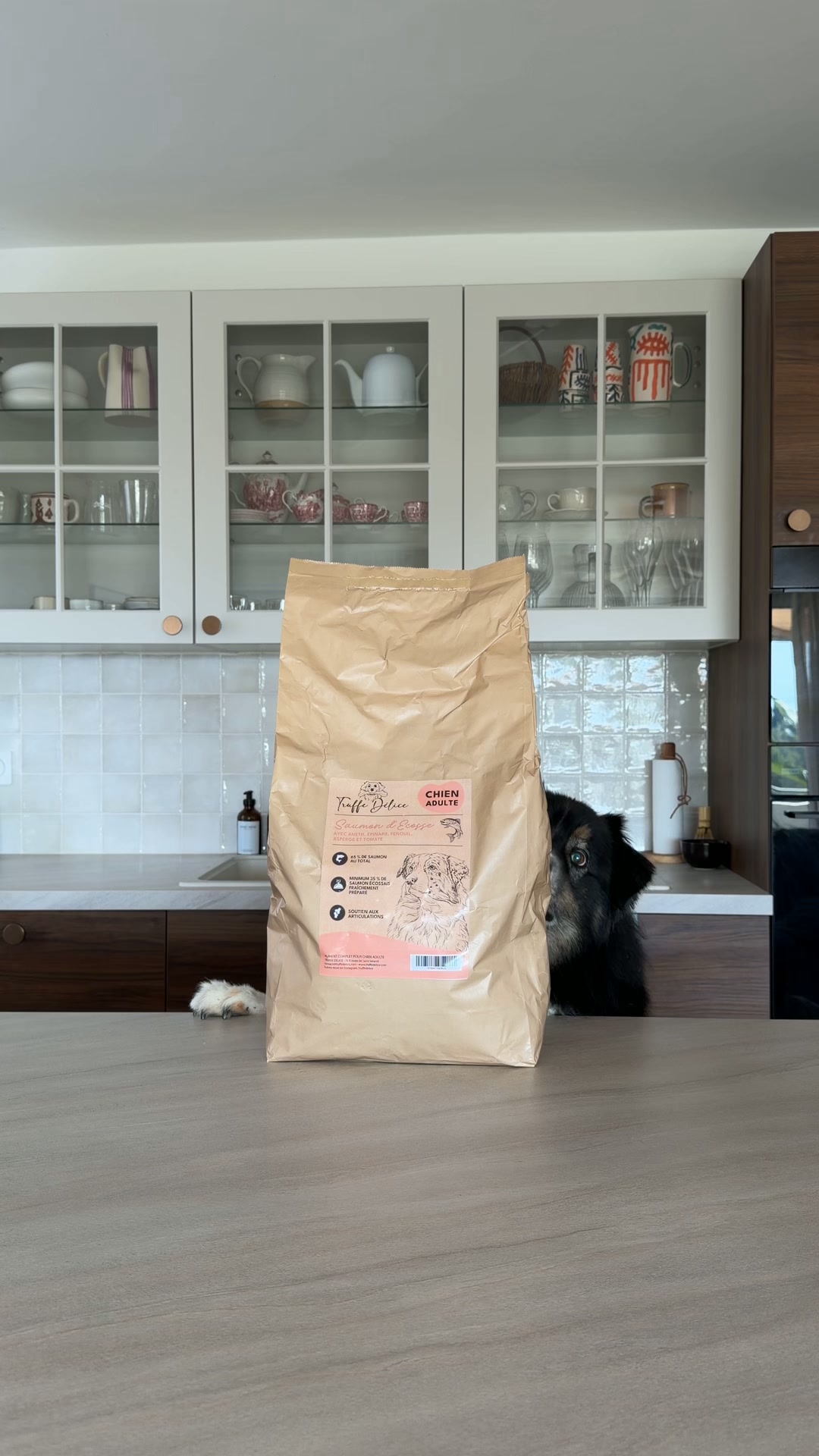 Des croquettes qui prennent soin de votre chien
