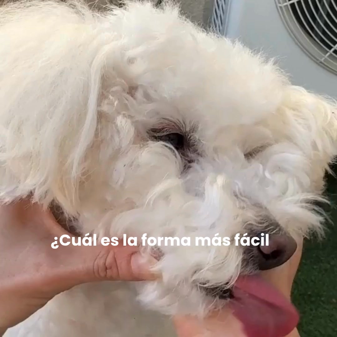 Envío gratis en 24-72 h
