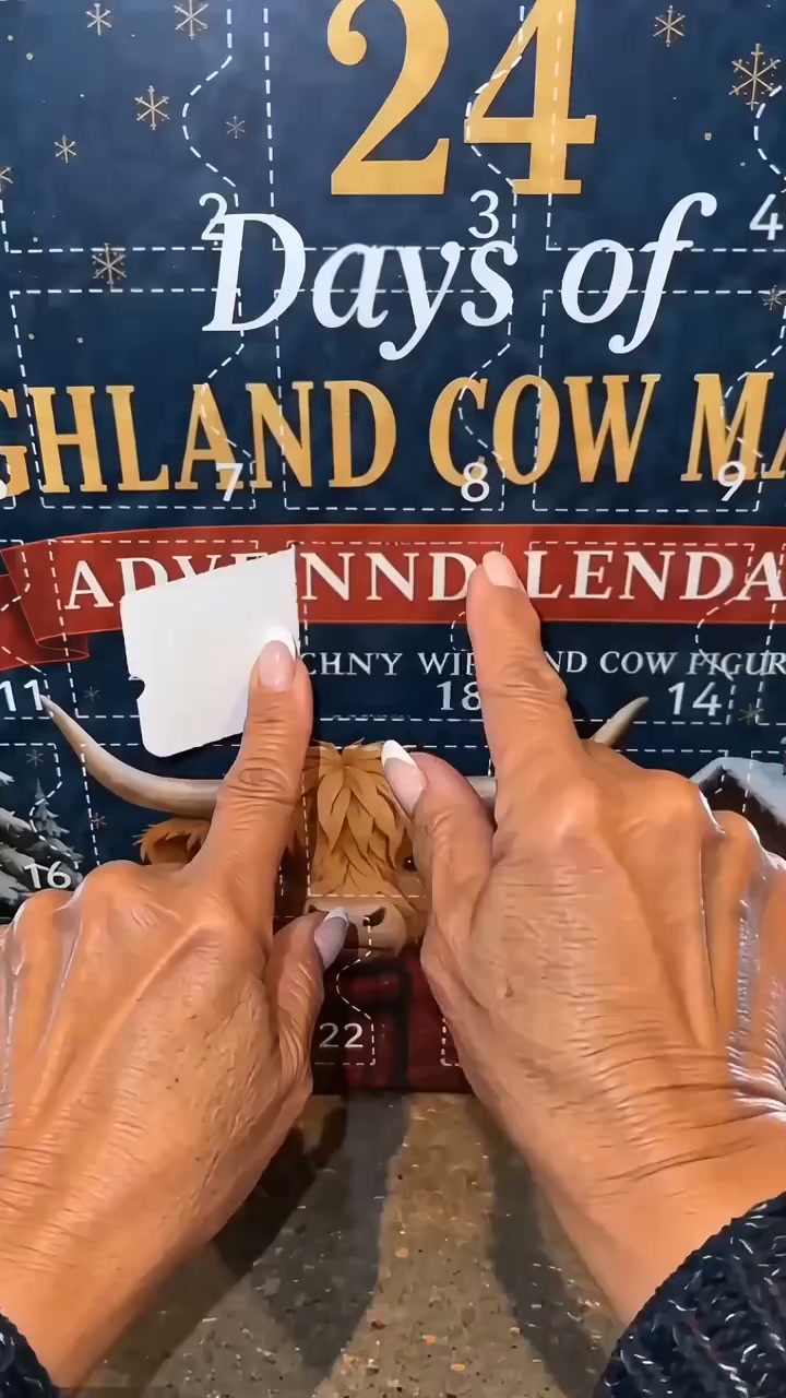 24 Days of Highland Cow Magic Advent Calendar