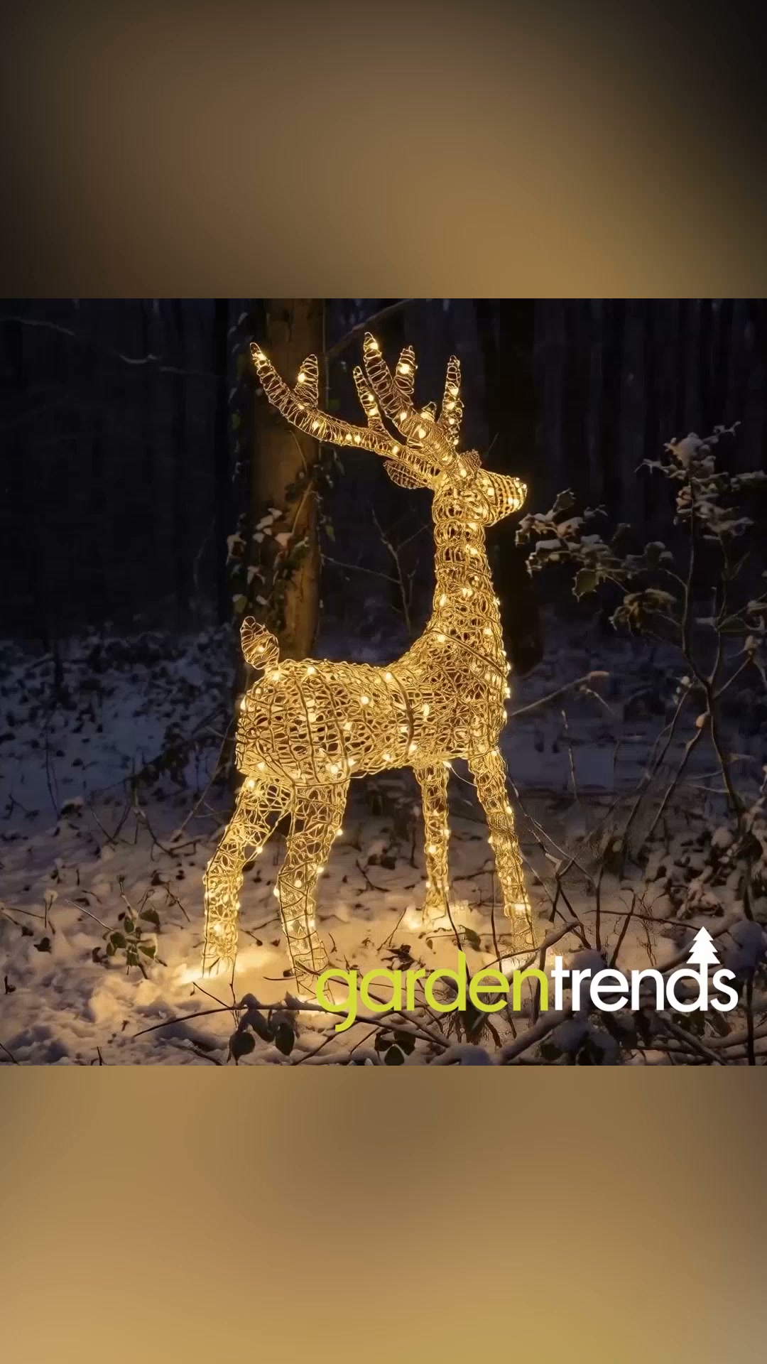 Finish Your Christmas Setup