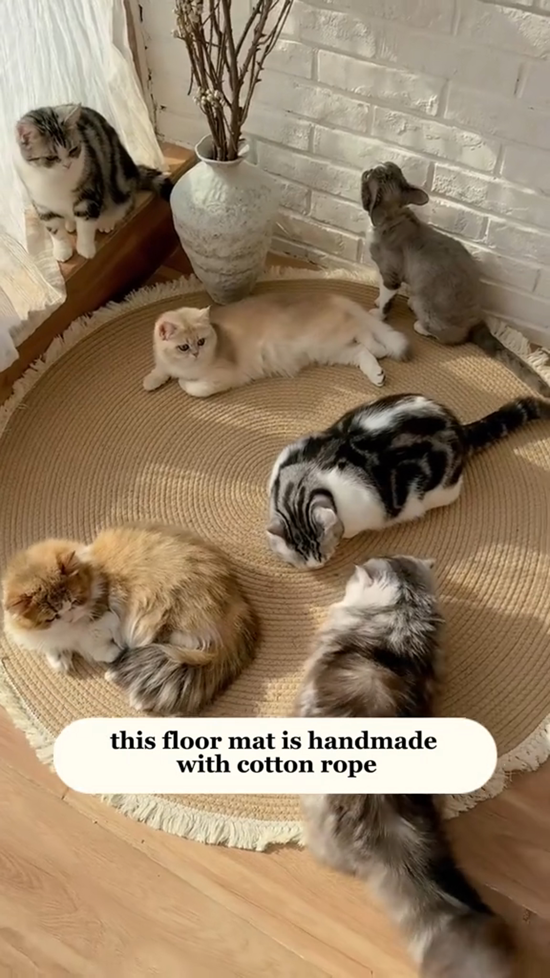It's More Than a Rug