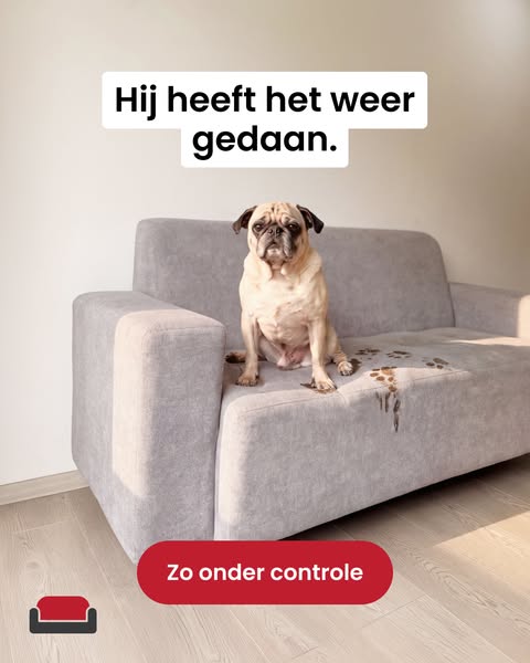 Huisdierchaos? Onder controle.
