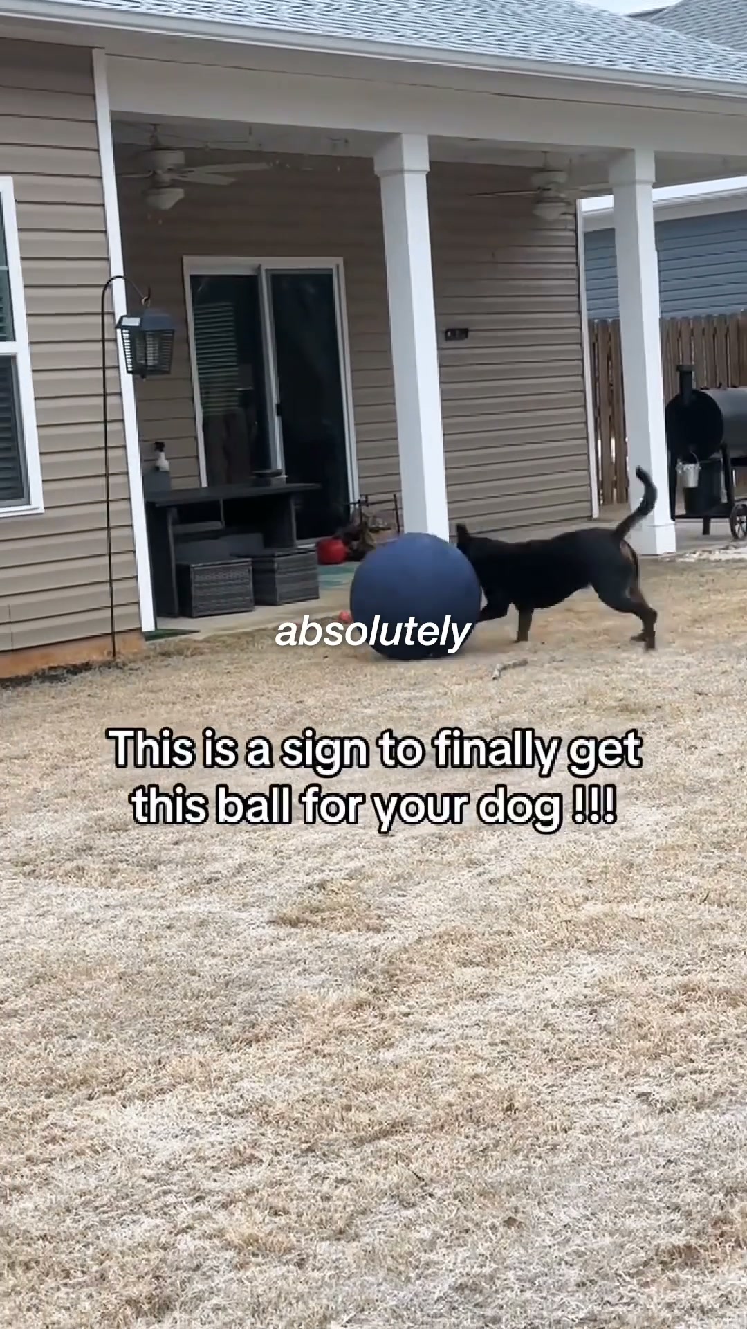 The Ball That Finally Gets Them To Settle