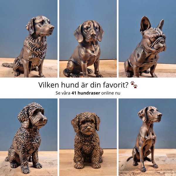 Hundfigur: Se alla raser här