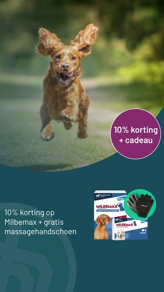 Shop nu bij de online Dierapotheker