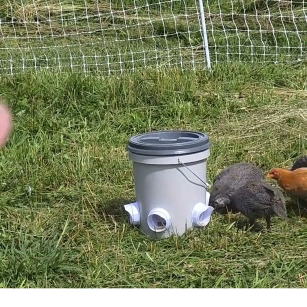 Stop Feeding the Mess — Feed the Flock