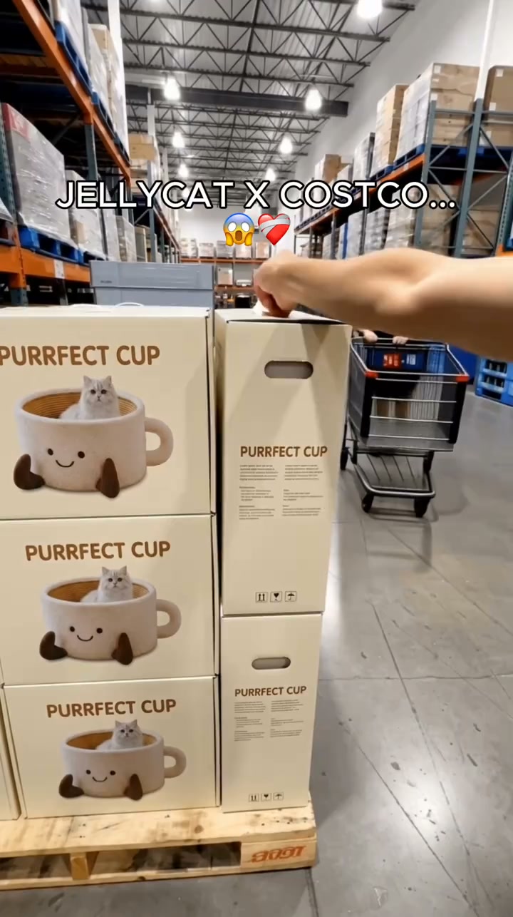 The Cutest Bed for Cats & Small Dogs