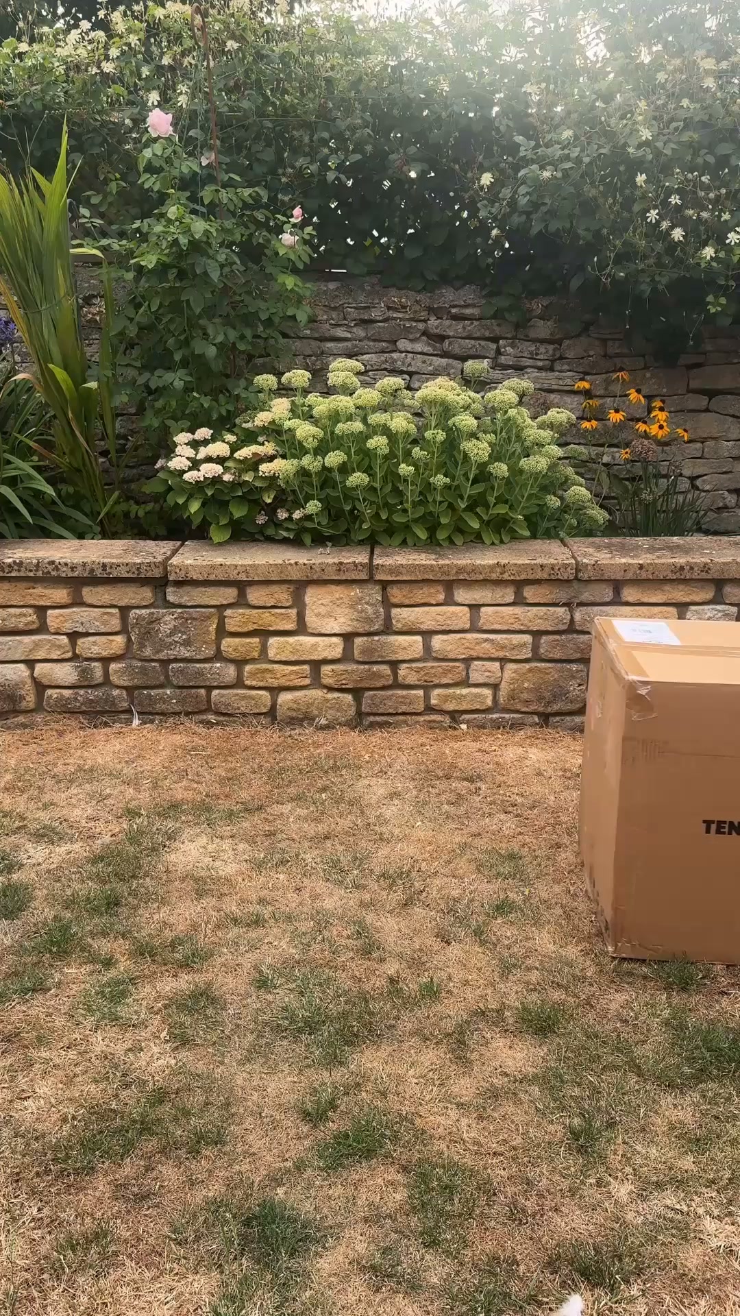 Introducing the TrunkBox.