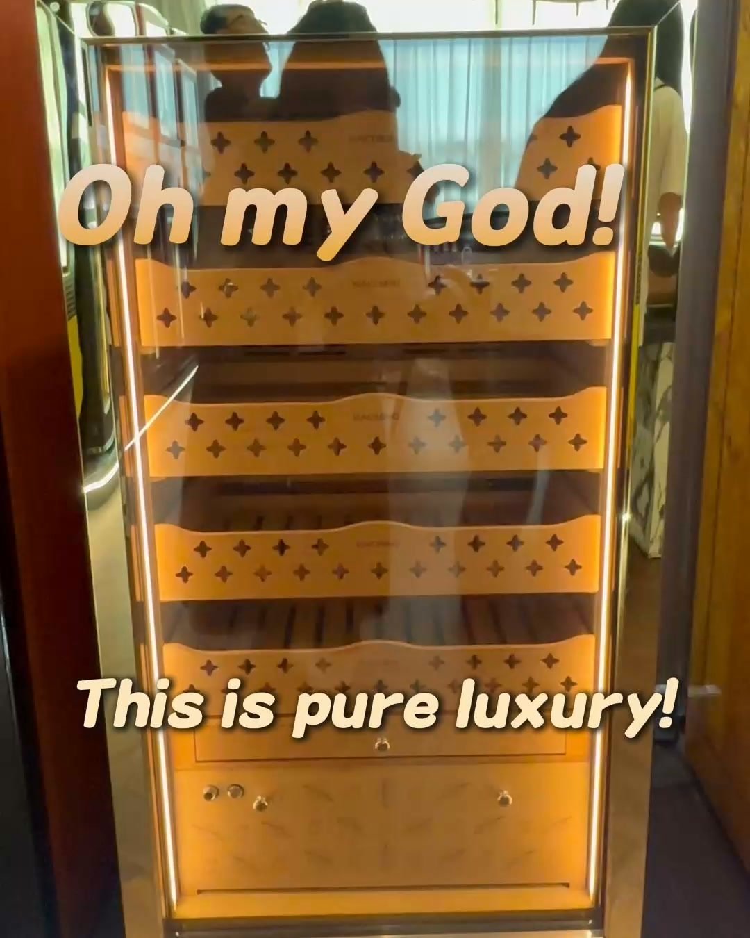 Up to 1,000 Pieces. One Serious Collection Cabinet.
