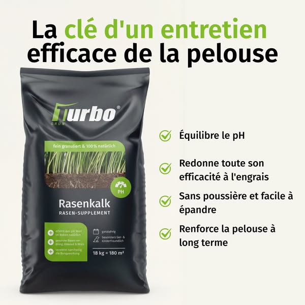 La base d'une pelouse dense et verte.