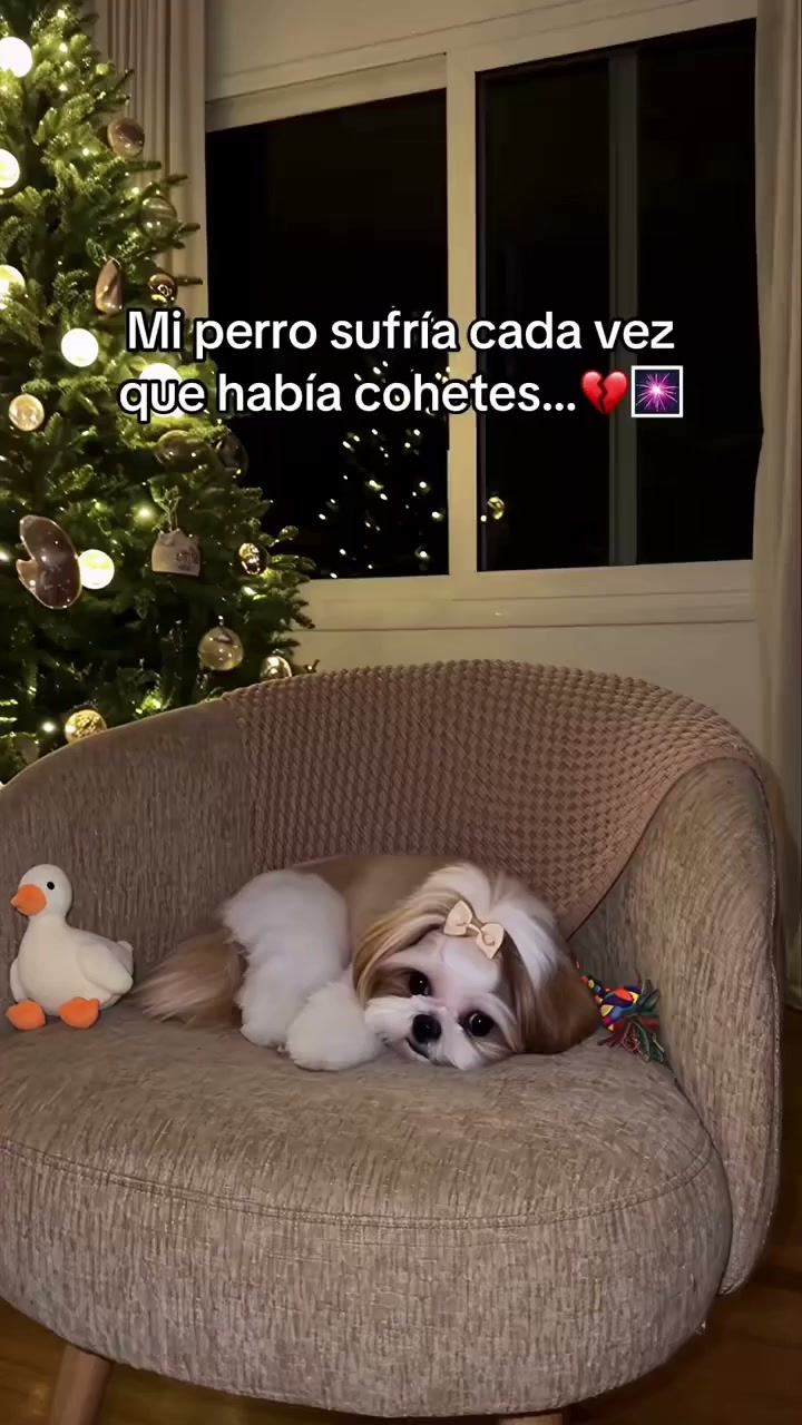 Anúncio de Ruaraa shop