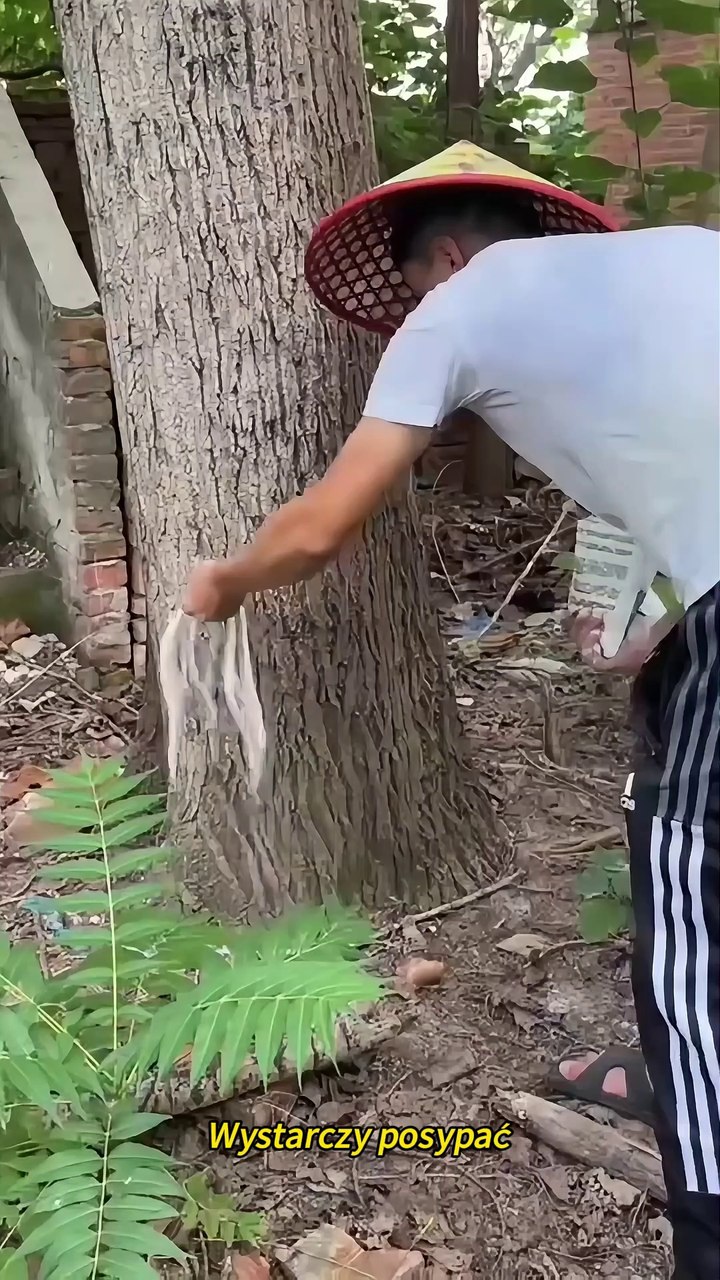 Darmowa dostawa Dostawa za pobraniem