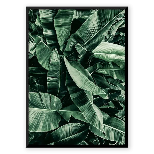 Tropic Jungle
