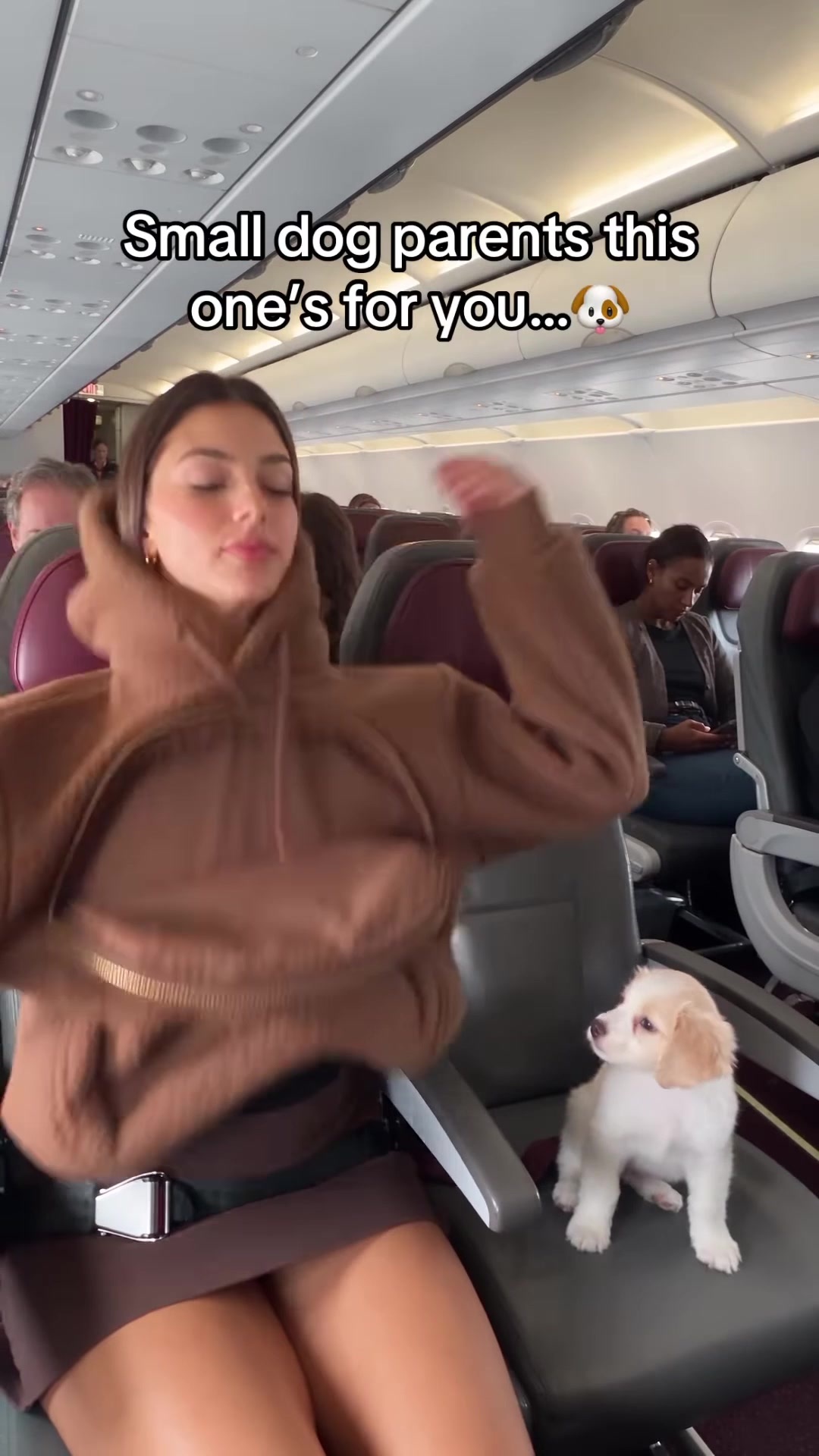 The Hoodie With a Pocket for Your Dog