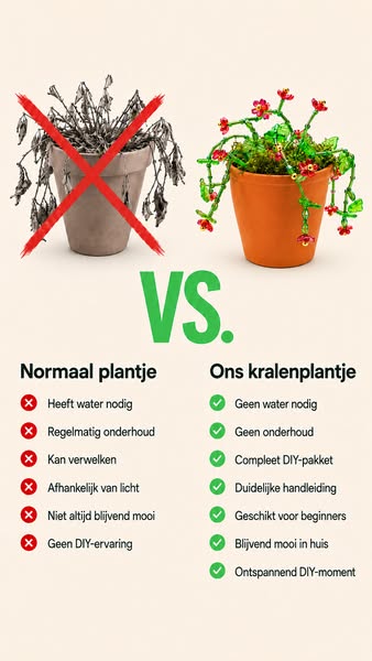 Maak je eigen kralenplant