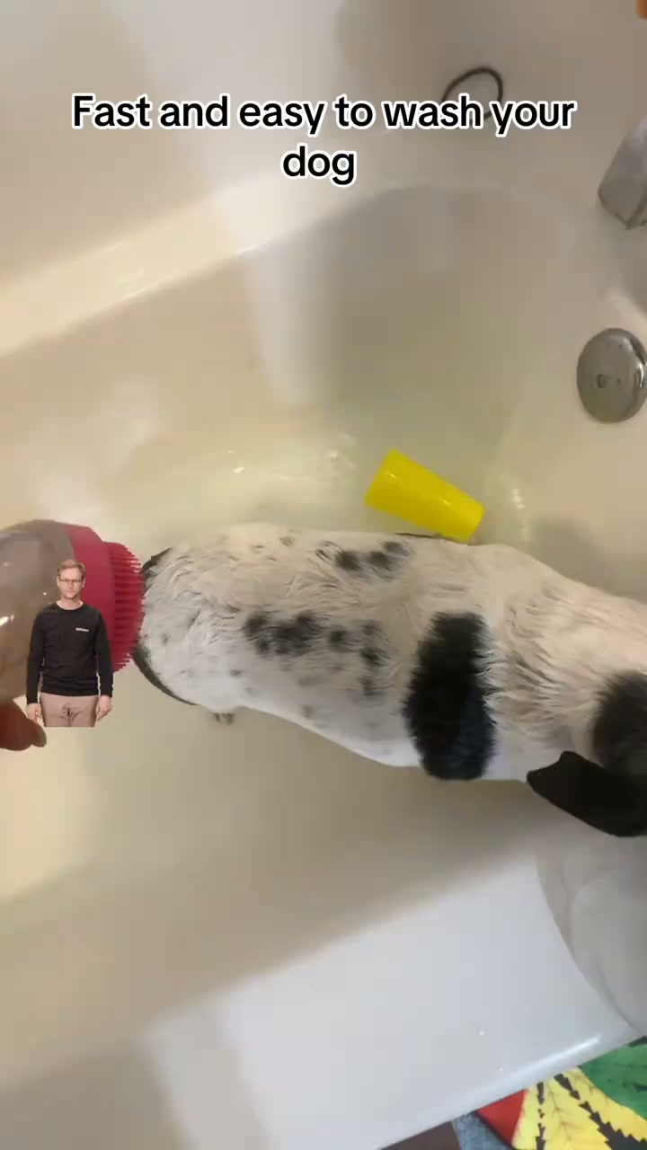 2026 Sale — Over 32,400 Sold Pet Bath Brush – Grooming Tool