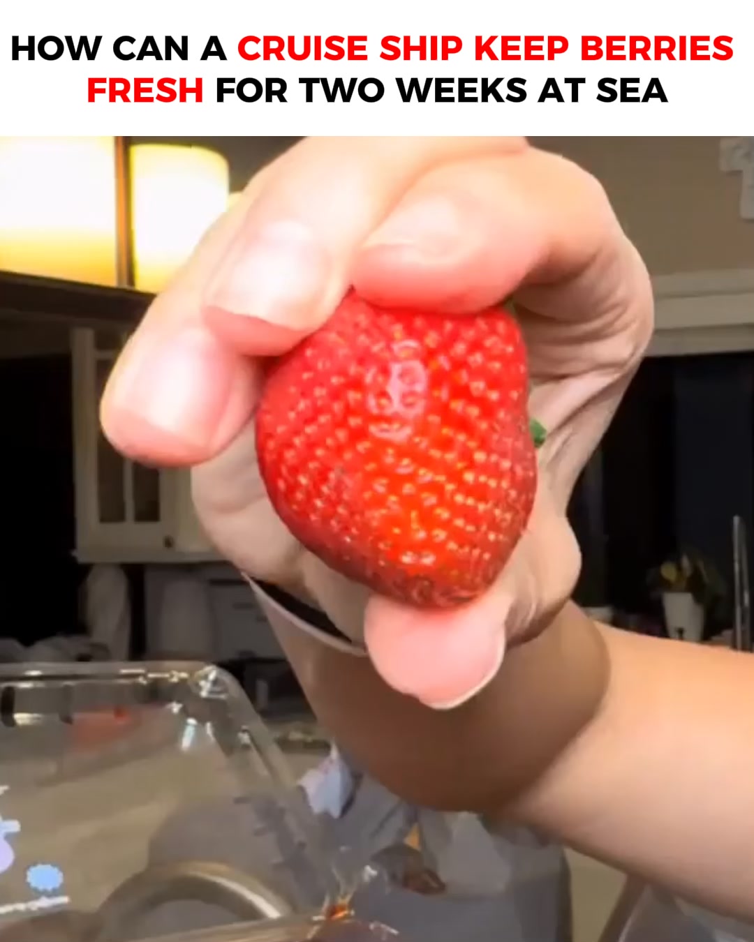 It Makes Food Last 3-5x Longer