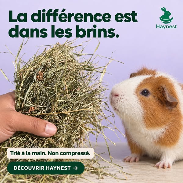 Trié à la main, jamais compressé