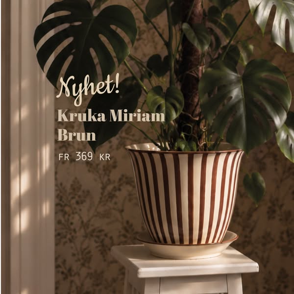 Kruka Miriam, från 369 kr
