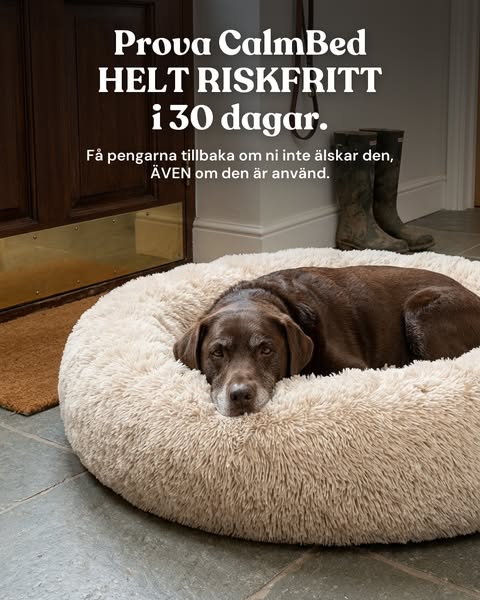 Snabb & Gratis Frakt