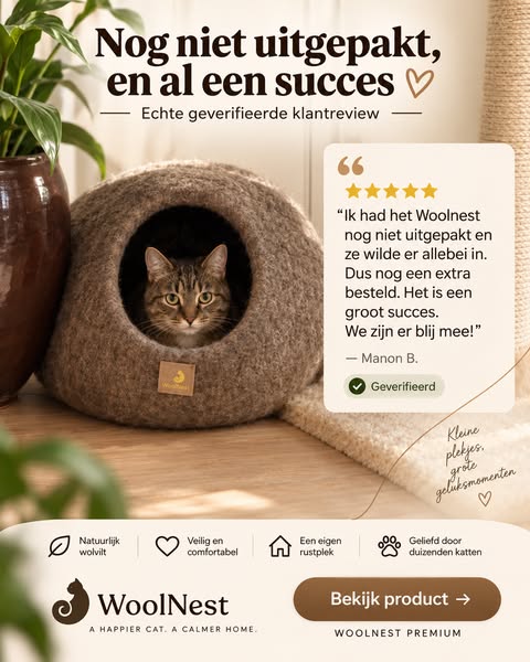 De kattenmand die de doos verslaat