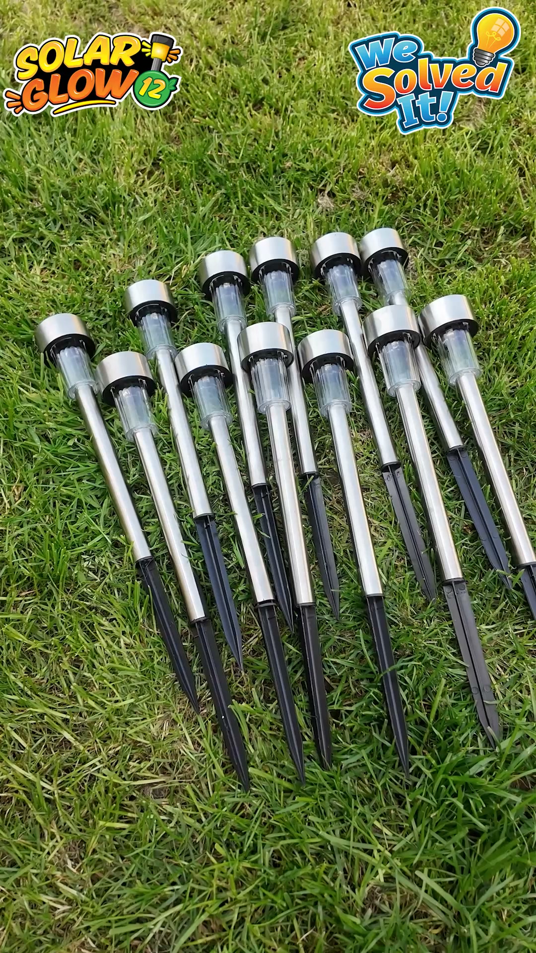 Brighten Up Your Garden Tonight!