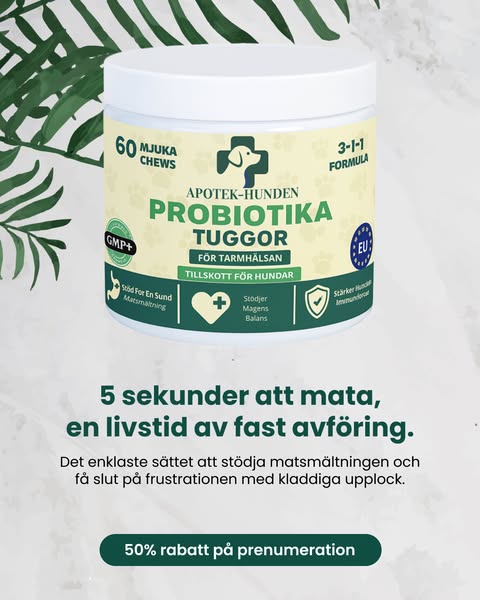 25,000+ hundar kan inte ha fel