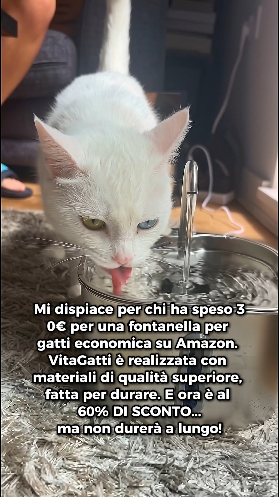 Anúncio de VitaGatti
