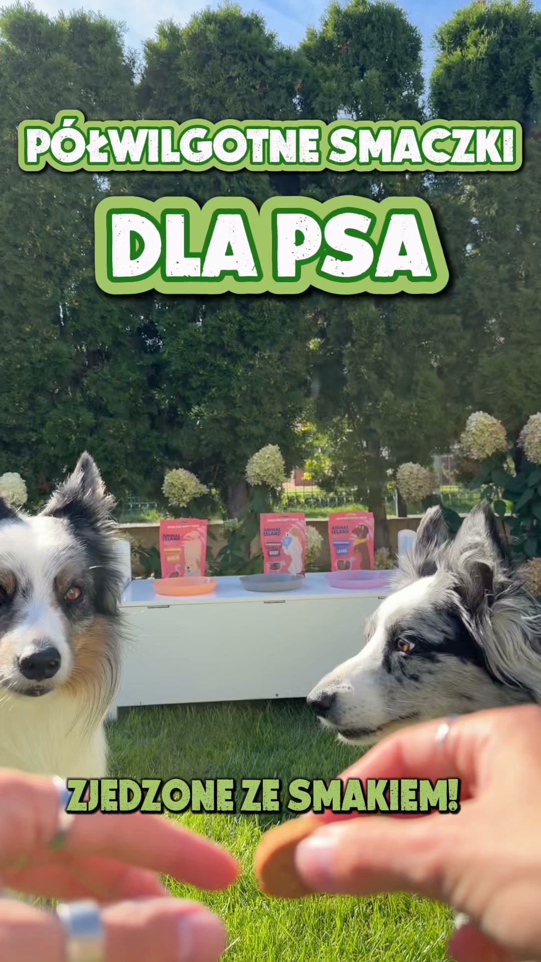 Smaczki dla psa