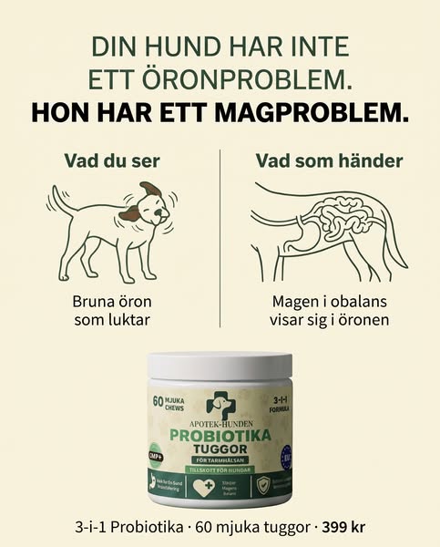 Det är inte hunger. Det är magen som ber om hjälp.