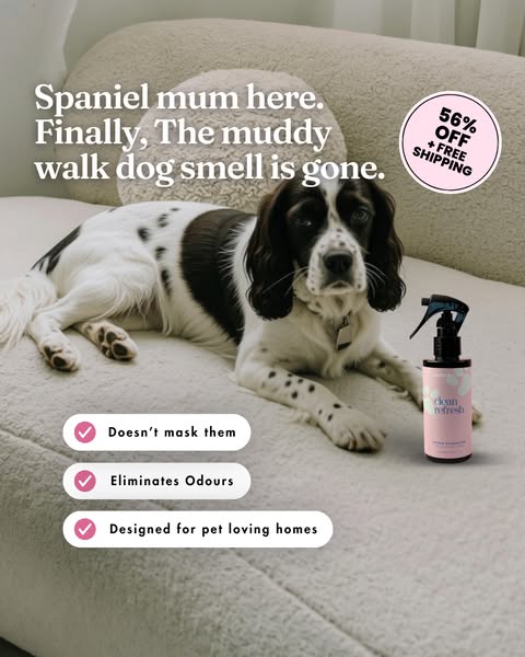 My secret to a smell free home