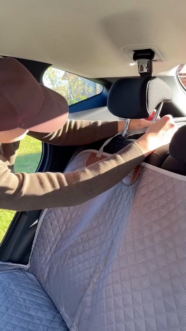Housse de voiture à fond rigide pour chien