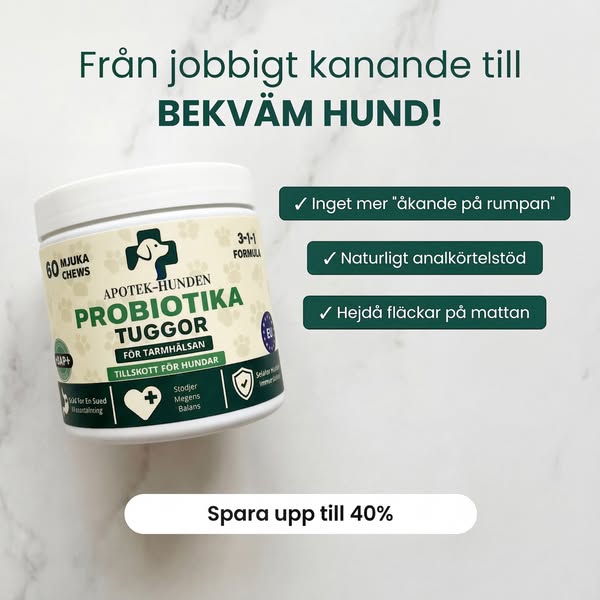 Probiotika Som Löser Din Hunds Mag-, Hud- & Energiproblem