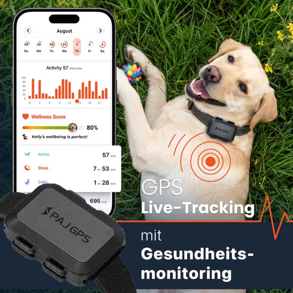 GPS Tracker mit 24/7 Support