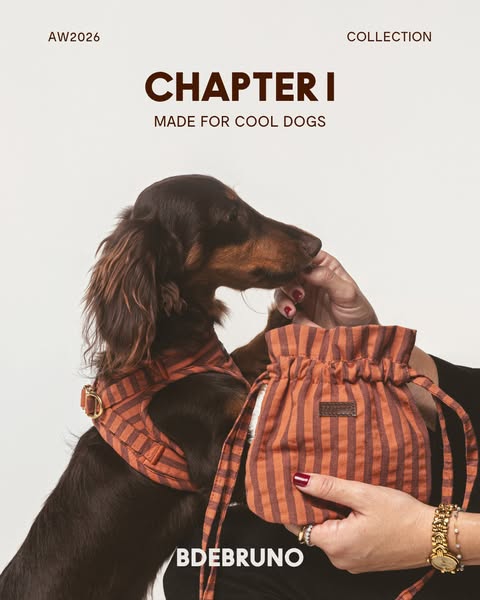 AW26 – Chapter I: new collection