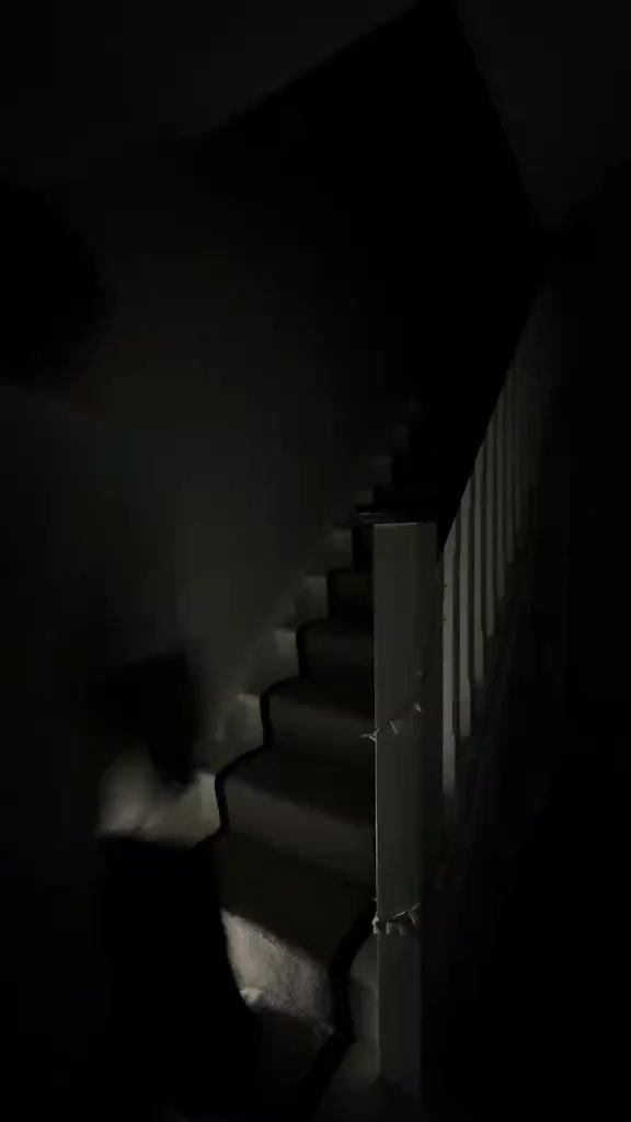 Light Up Your Space. Your Way.