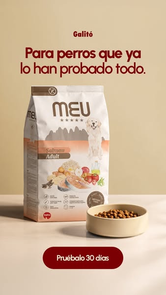 Que sea la última que pruebas
