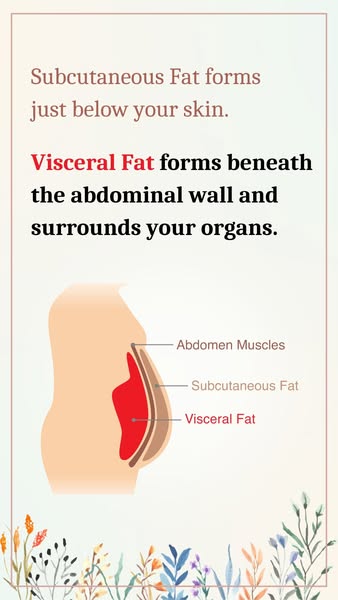 Science-Based Plan to Reduce Visceral Fat