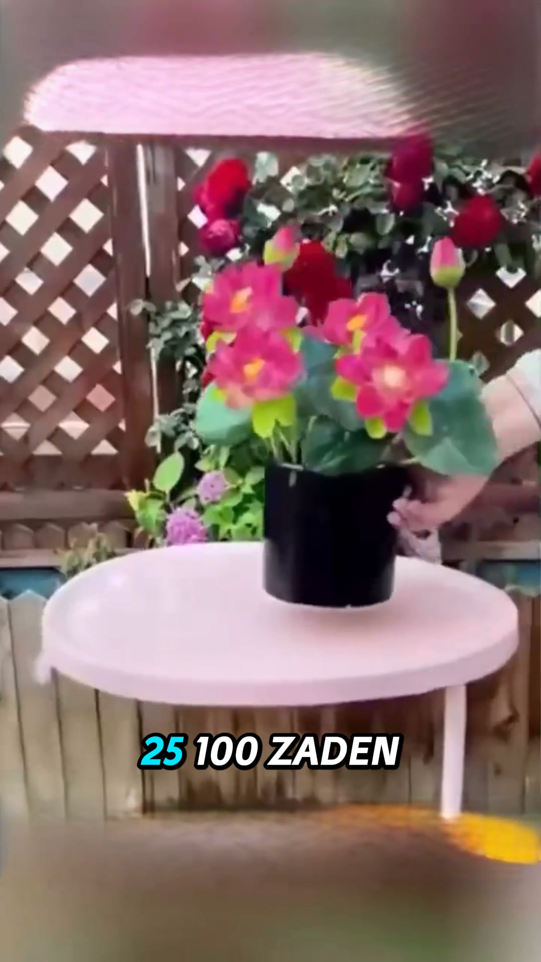 Lege en saaie ruimtes? Maak er een sfeervolle blikvanger van!