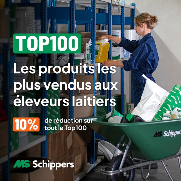 MS Schippers