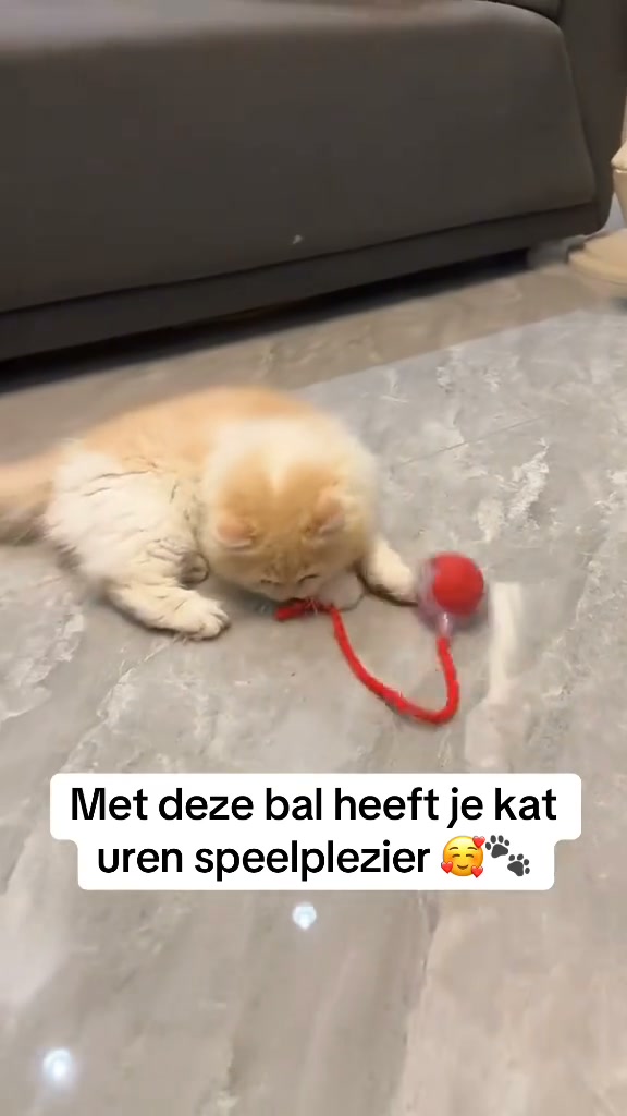 Geen tijd om te spelen? Laat de bal het werk doen!