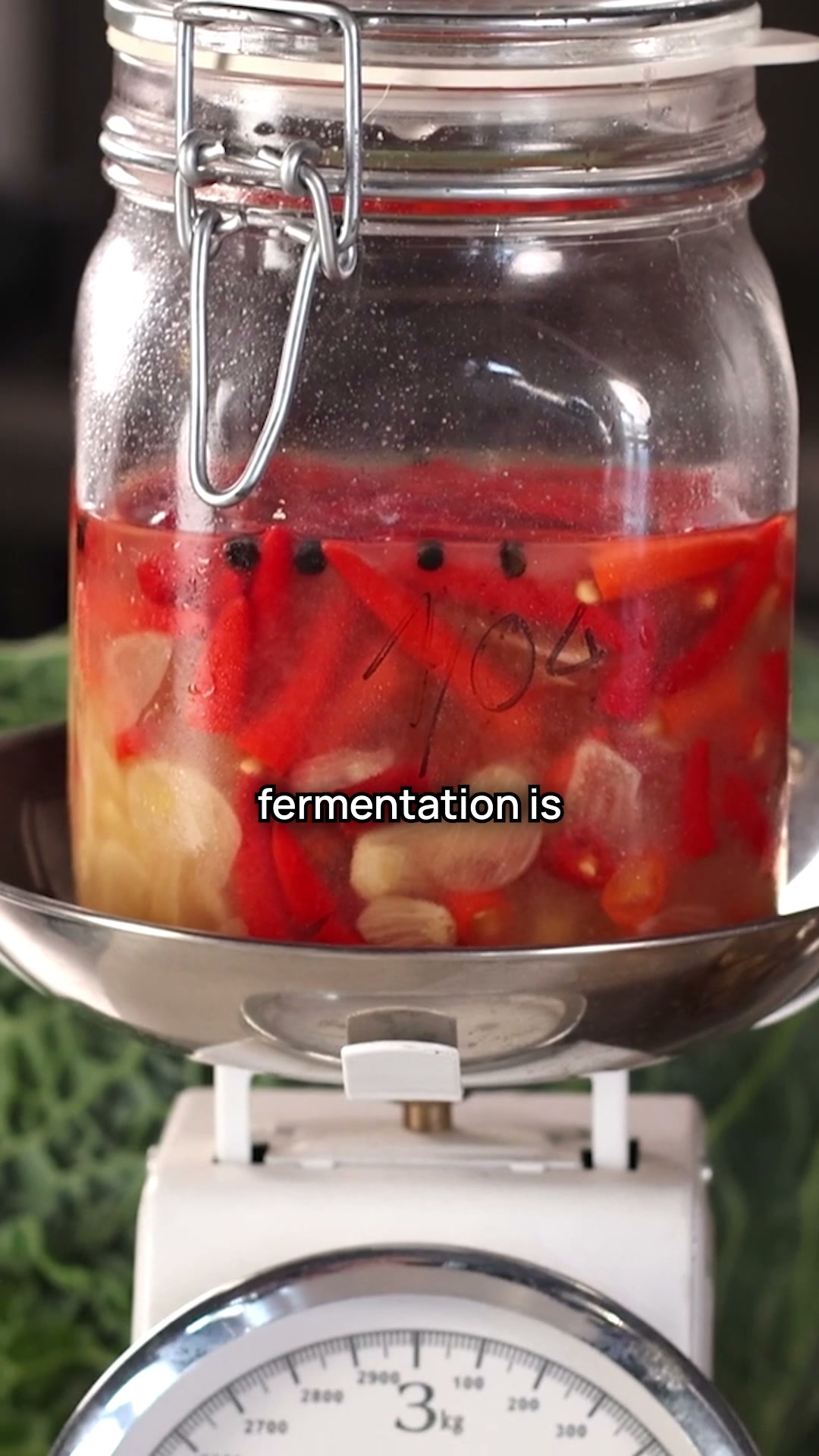 Ferment With Confidence