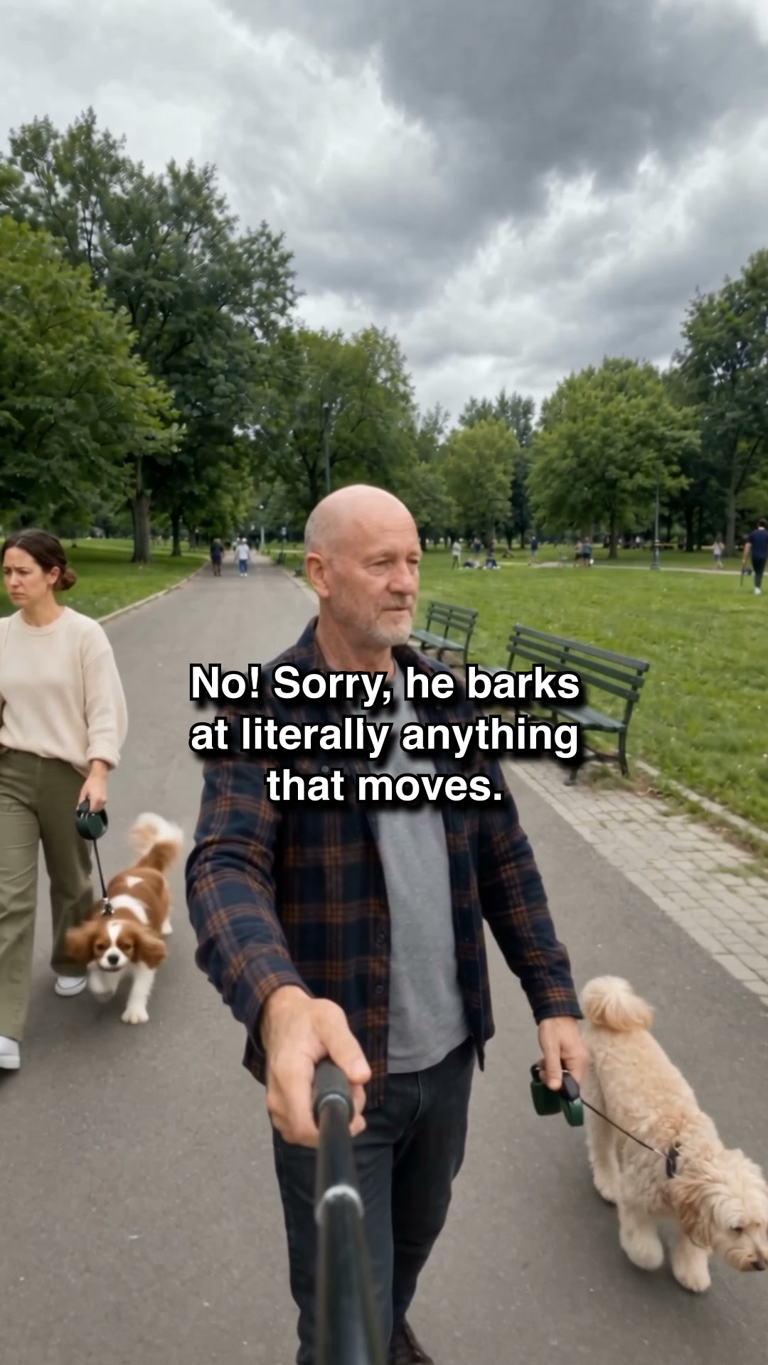 Start Small Dog Manners Routine ▶